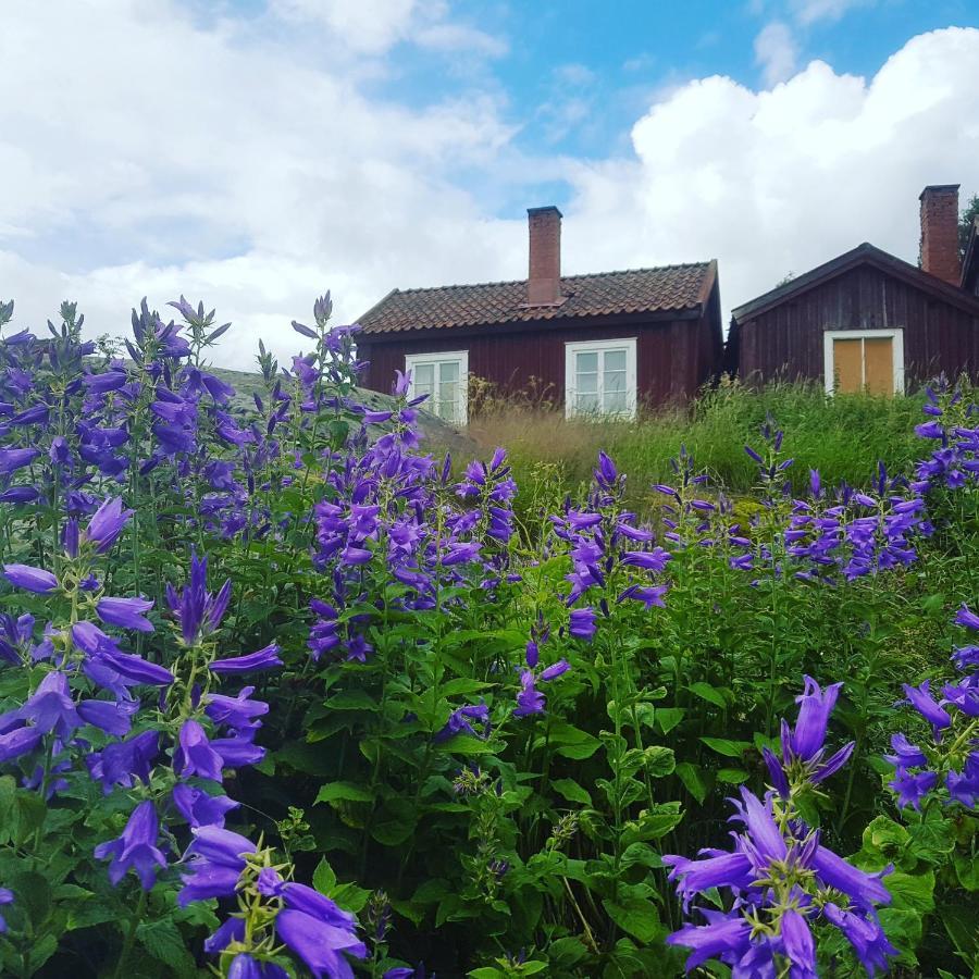 Lovanger Kyrkstad Bagian luar foto